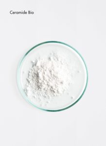 ceramide-bio