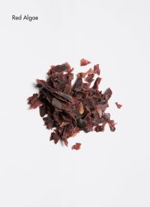 homme_after_shave_face_beard_care_390885_75ml_6d9055e.2x