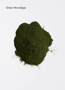 Green MicroAlgue