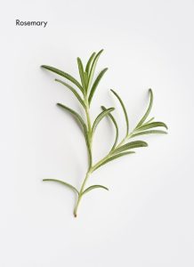 rosemary