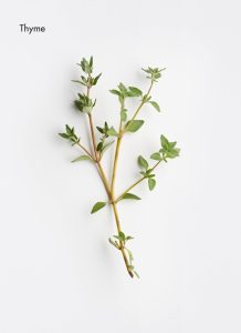 thym